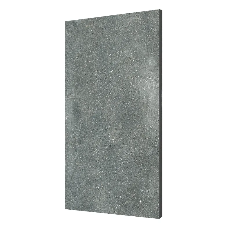 Slate Outdoor Wall Tile